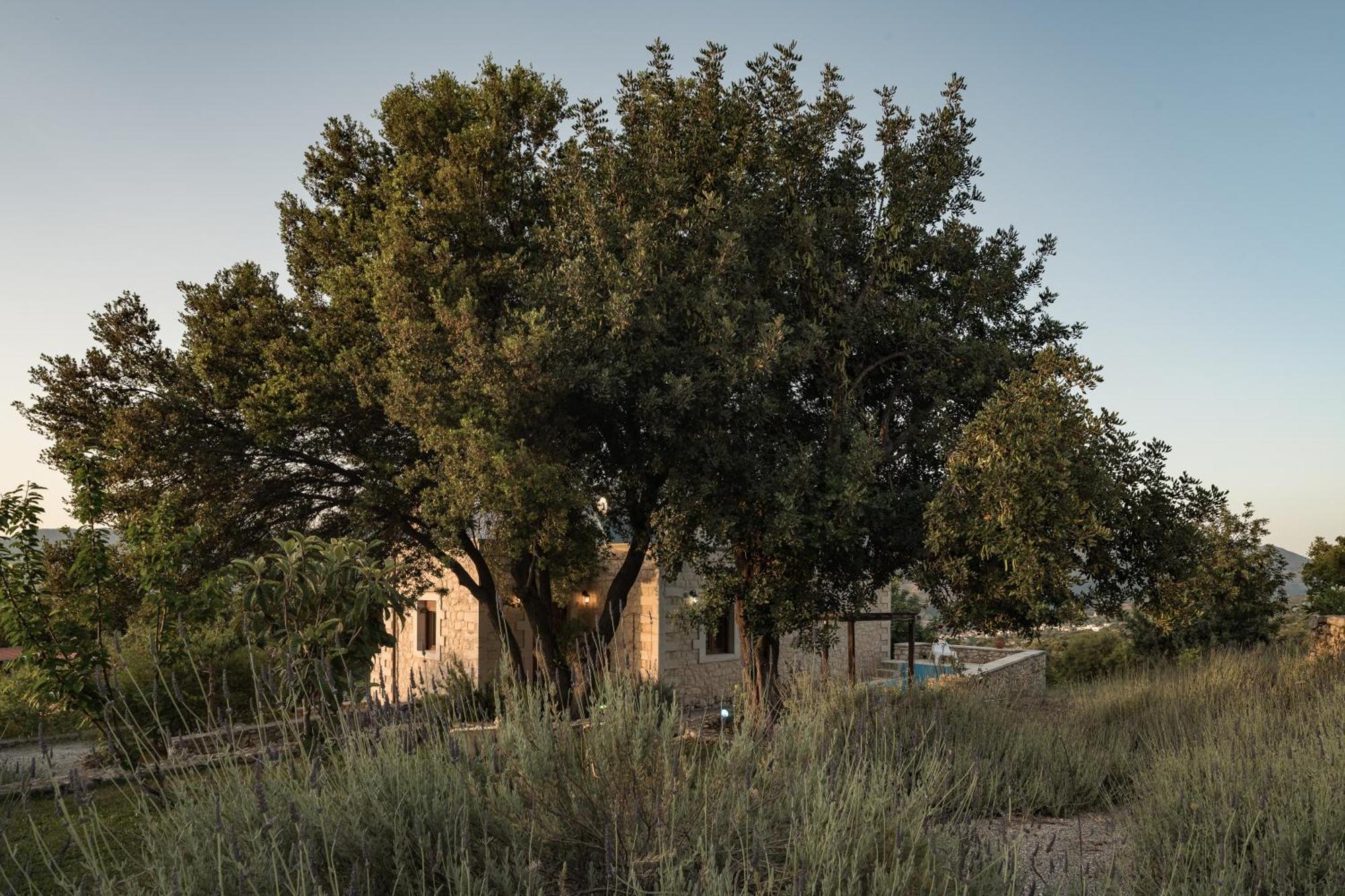 Koules Estate, With Private Pools & Bbq - Embracing Nature, By Thinkvilla Argouli Cameră foto